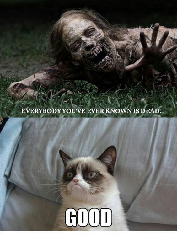 why is my cat grumpy all of a sudden