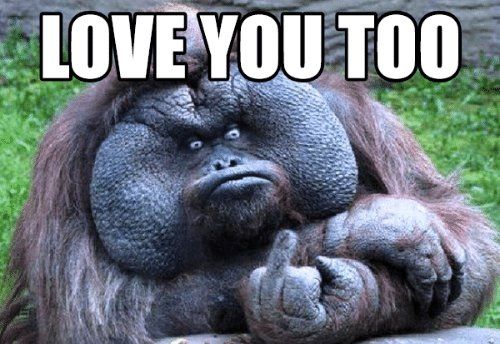 Best friend falling in love memes