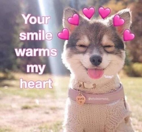 Cute sending my love heart memes