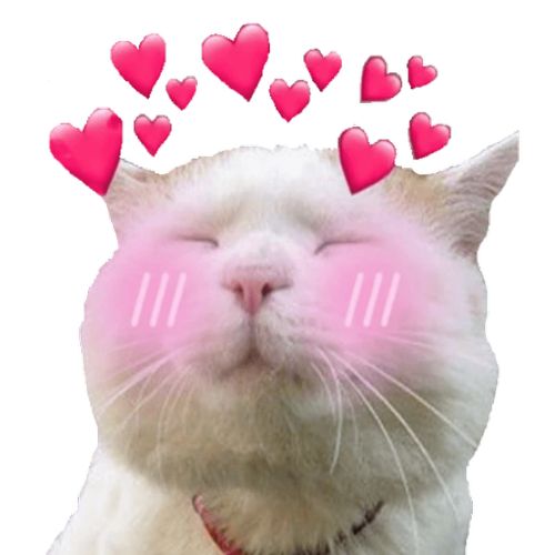 Thinking of you memes for long distance